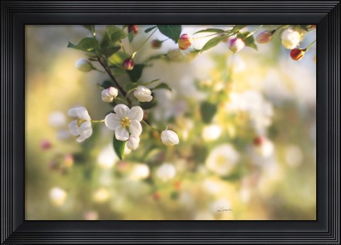 Framed Blush Blossoms I Print