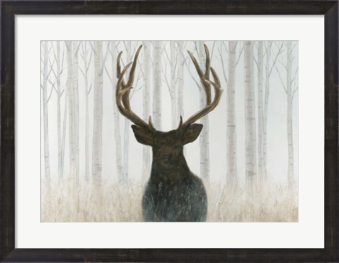 Framed Into the Forest Print