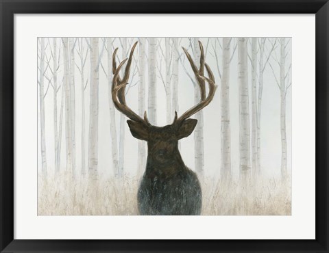 Framed Into the Forest Print