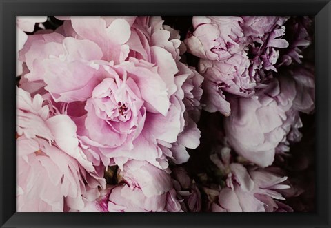 Framed Peonies Galore I Print