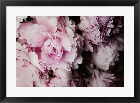 Framed Peonies Galore I Print