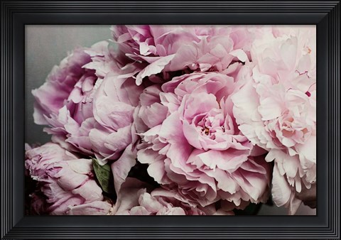 Framed Peonies Galore II Print