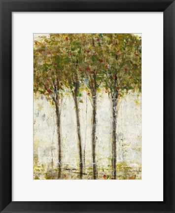 Framed Apple Orchard II Print