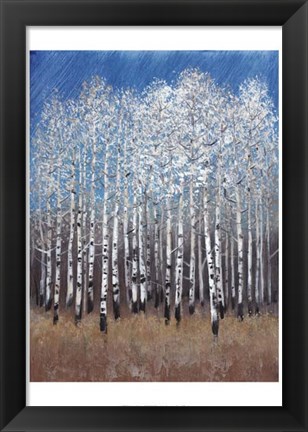 Framed Cobalt Birches II Print