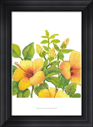 Framed Watercolor Hibiscus I Print