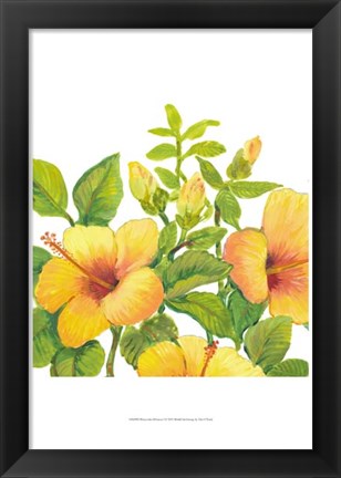 Framed Watercolor Hibiscus I Print