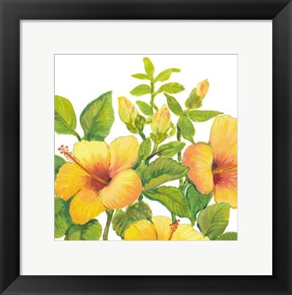 Framed Watercolor Hibiscus I Print