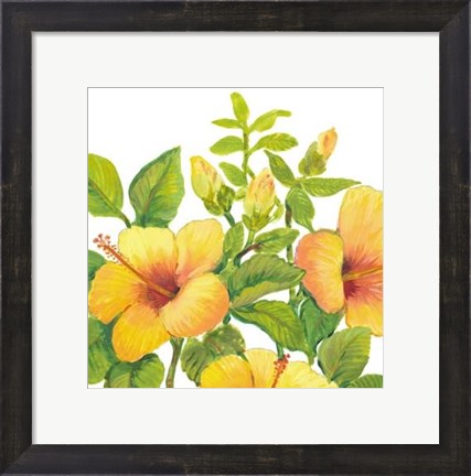 Framed Watercolor Hibiscus I Print