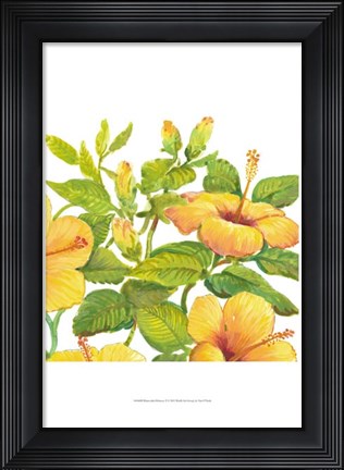 Framed Watercolor Hibiscus II Print