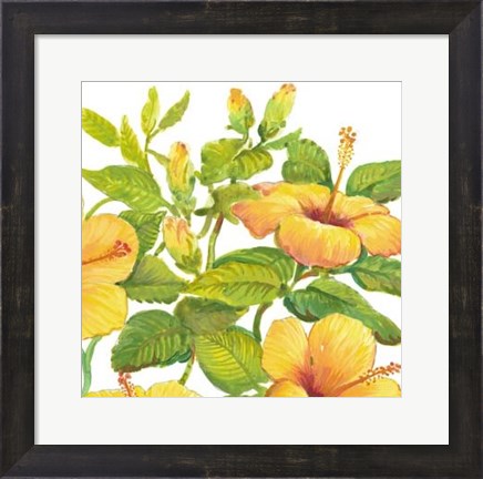 Framed Watercolor Hibiscus II Print