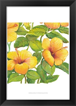 Framed Watercolor Hibiscus IV Print