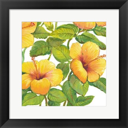 Framed Watercolor Hibiscus IV Print