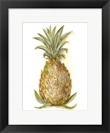 Framed Pineapple Sketch I Print
