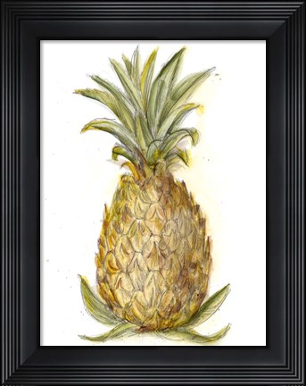 Framed Pineapple Sketch I Print