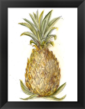 Framed Pineapple Sketch I Print