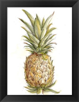 Framed Pineapple Sketch II Print