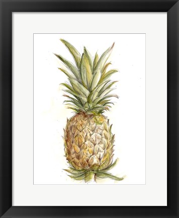 Framed Pineapple Sketch II Print