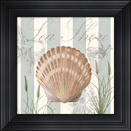 Framed Seashells by the Seashore II Print