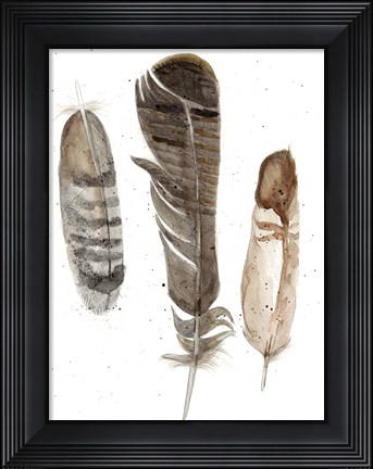 Framed Earthtone Feathers I Print