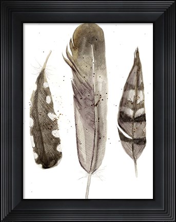 Framed Earthtone Feathers II Print