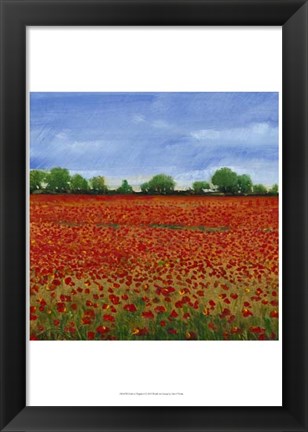 Framed Field of Poppies I Print