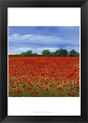 Framed Field of Poppies II Print