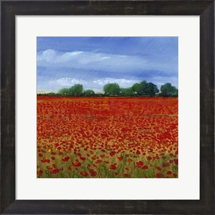 Framed Field of Poppies II Print