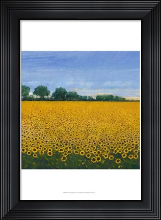 Framed Field of Sunflowers I Print
