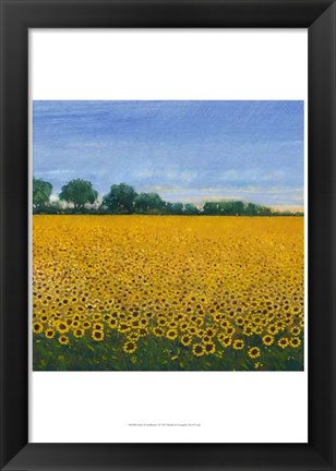 Framed Field of Sunflowers I Print