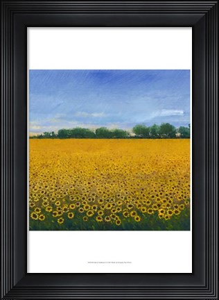 Framed Field of Sunflowers II Print
