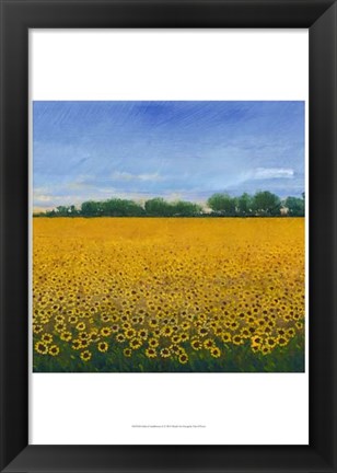 Framed Field of Sunflowers II Print