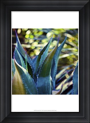 Framed Succulent Vibes I Print