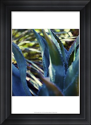 Framed Succulent Vibes II Print