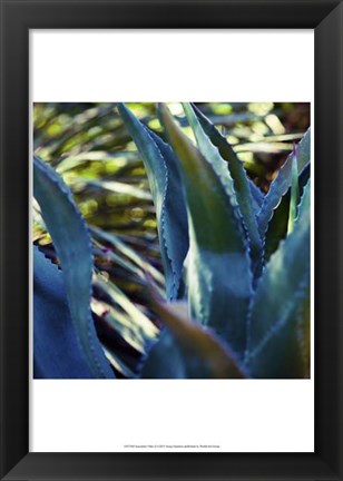 Framed Succulent Vibes II Print