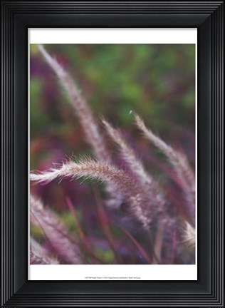 Framed Purple Plumes I Print