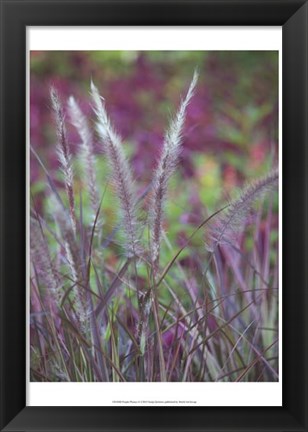 Framed Purple Plumes II Print