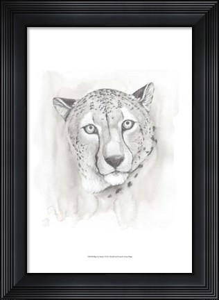 Framed Big Cat Study I Print