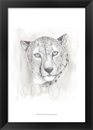 Framed Big Cat Study I Print