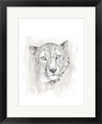 Framed Big Cat Study I Print