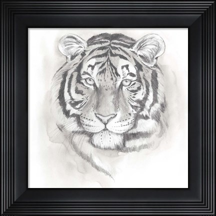 Framed Big Cat Study II Print
