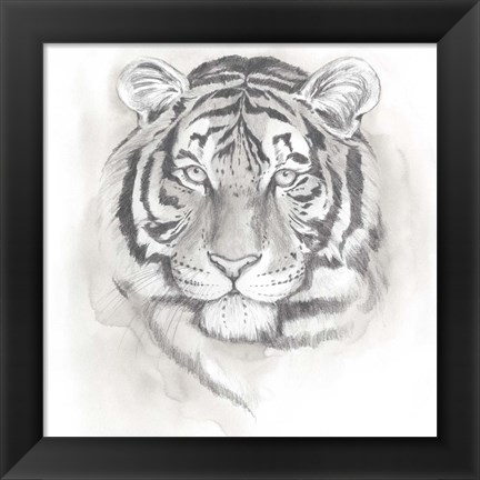 Framed Big Cat Study II Print