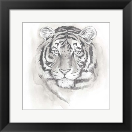 Framed Big Cat Study II Print