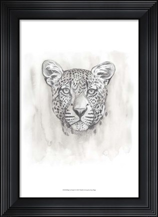 Framed Big Cat Study IV Print
