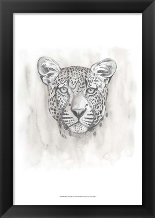 Framed Big Cat Study IV Print