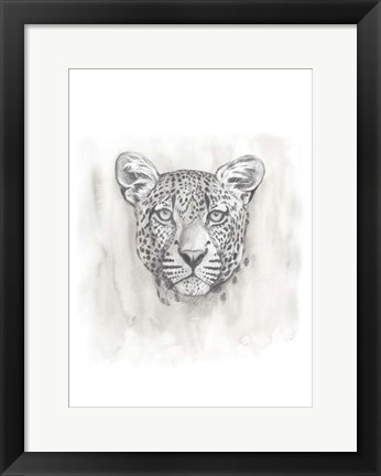 Framed Big Cat Study IV Print