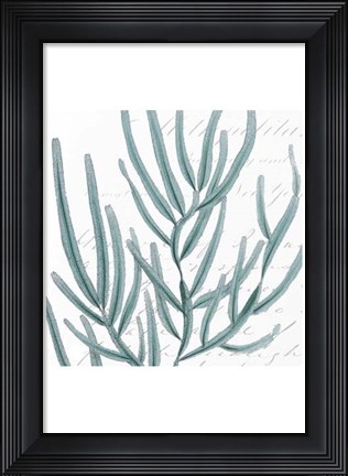 Framed Aqua Marine I Print