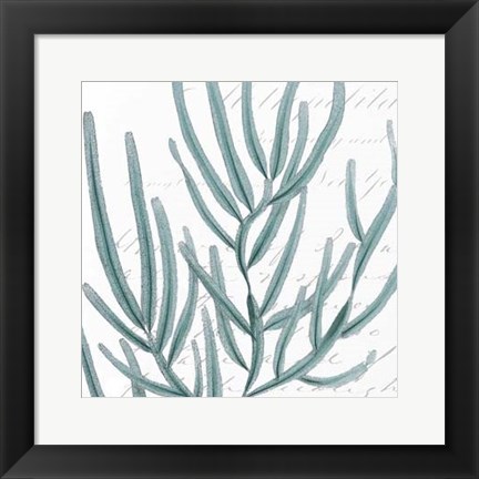 Framed Aqua Marine I Print