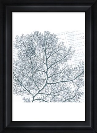 Framed Aqua Marine II Print