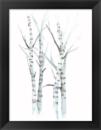 Framed Aquarelle Birches I Print