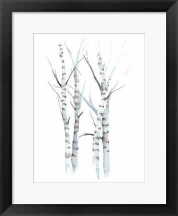 Framed Aquarelle Birches I Print